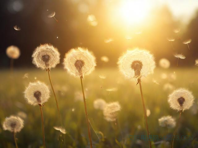 数字祝福语，一二三四五六七数字祝福语