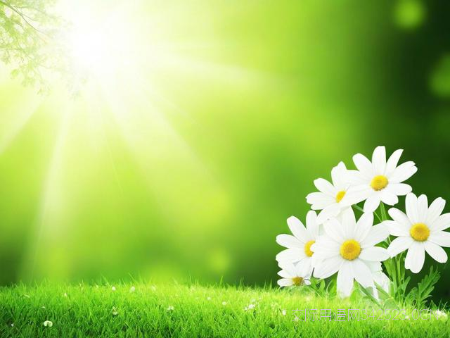 清明节祝福语，清明节祝福语大全简短