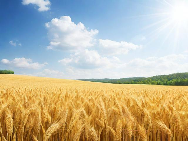 丰收节的祝福语，丰收节寄语