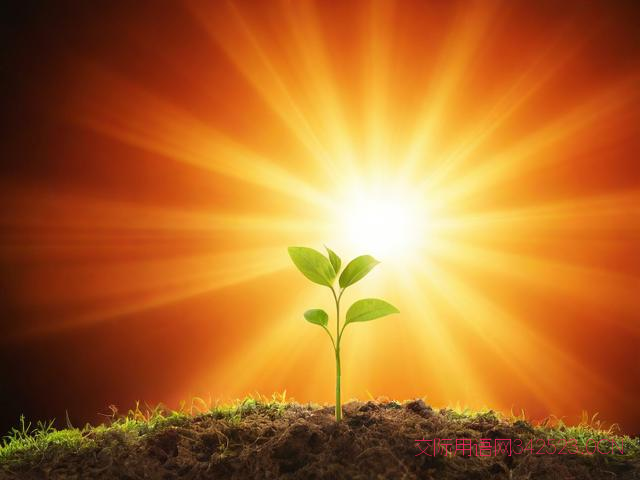 元旦结束祝福语,元旦圆满结束