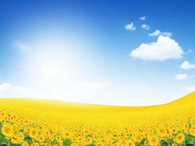 十字祝福语，中考十字祝福语