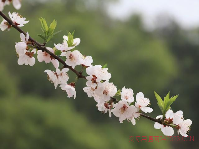 清明简短祝福语，清明祝福语句简短唯美