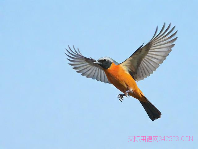 早安祝福语与图片,早安祝福语图片正能量