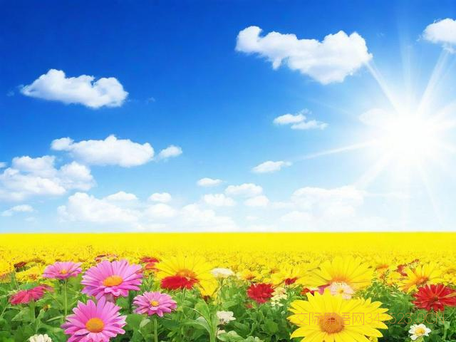 祝福家乡发展的祝福语，祝福家乡发展的祝福语有哪些