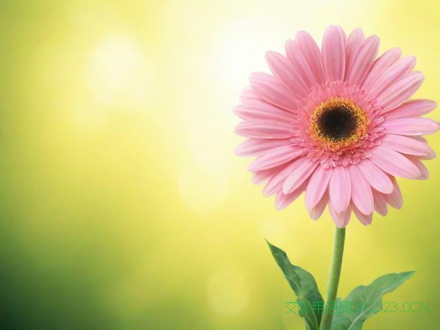 乔迁新居祝福语经典，乔迁新居简短祝福语