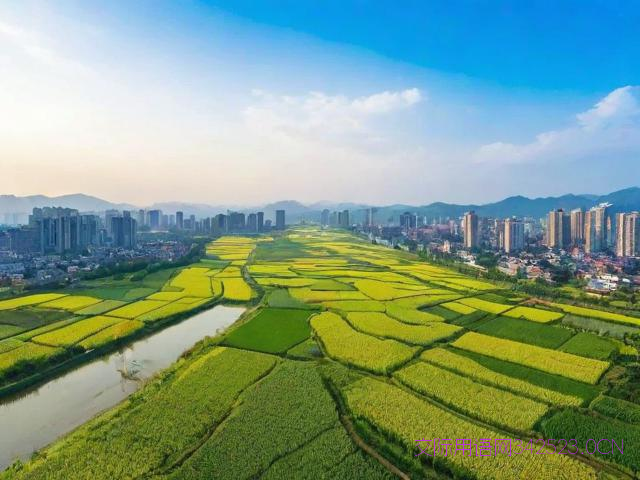 河南南阳方言日常用语，河南南阳方言顺口溜