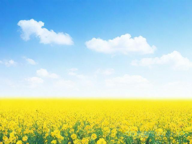 祝福初中生的祝福语，祝福初中生的祝福语四字成语