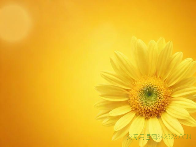 重阳节送给父母的祝福语，重阳节给父母的寄语