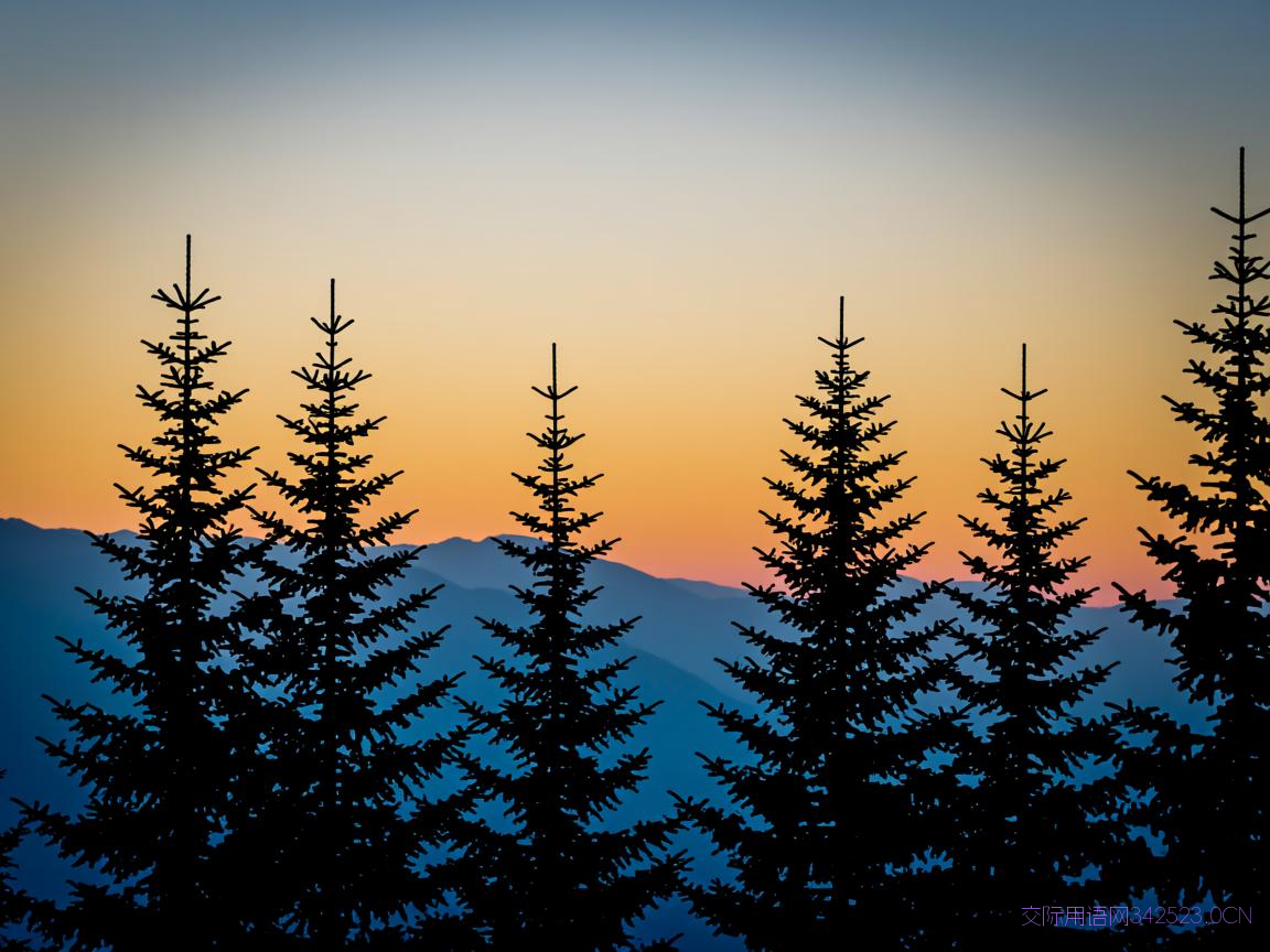 部门新年祝福语，部门新春祝福贺词