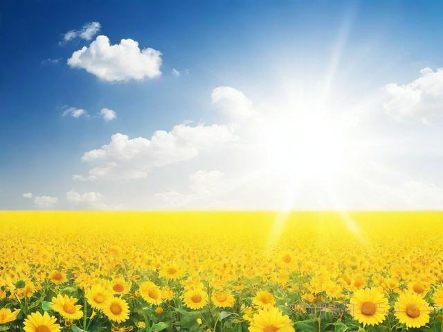 对生意的祝福语，生意的祝福语简短暖心短句