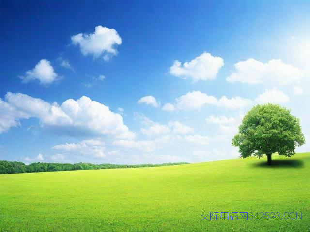 吉祥祝福语四字成语，吉祥祝福语四字成语有哪些