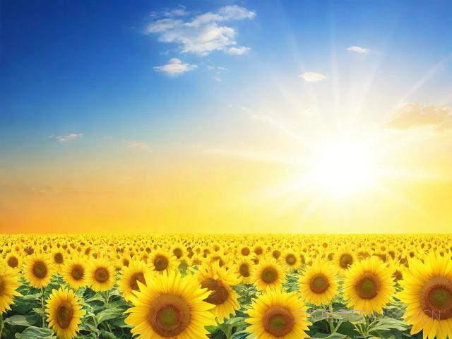 微信每天早晨祝福语，微信每天早晨祝福语怎么关闭呢