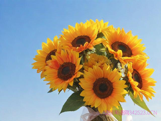 送同性朋友鲜花祝福语，送同性花有什么花语