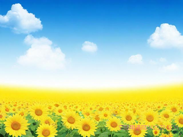 最新十一假期祝福语，十一假期祝福句子