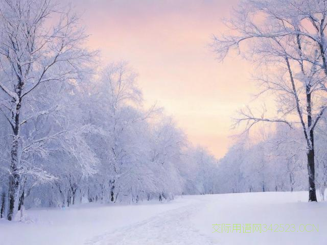 立冬祝福语最暖心，立冬祝福的话语,句句暖人心