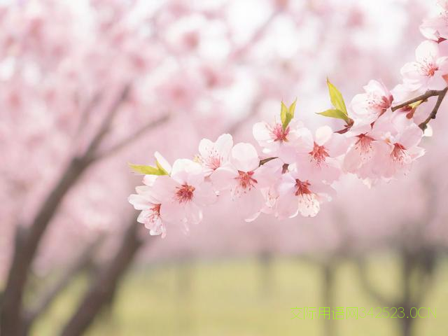 三月祝福语，三月祝福语简短一句话