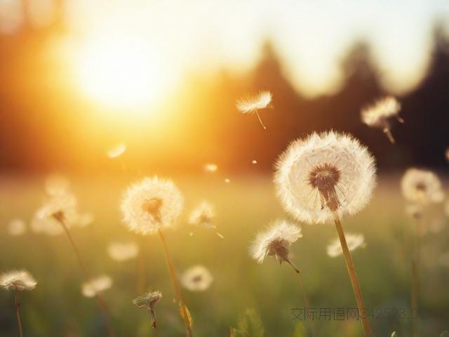 周一温馨祝福语，周一温馨祝福语简短一句话