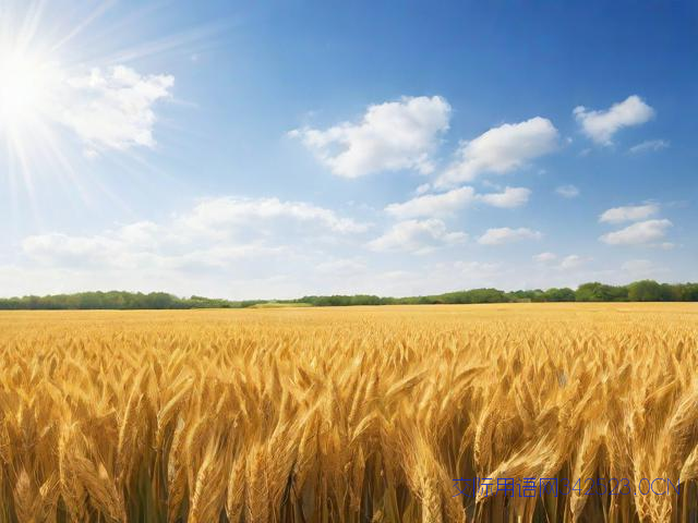 芒种的祝福语言，芒种的祝福诗句