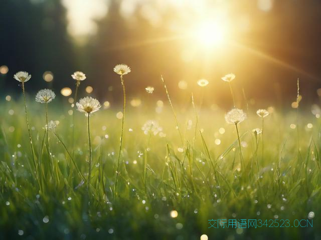 早晨祝福语动态图，早晨祝福的图案