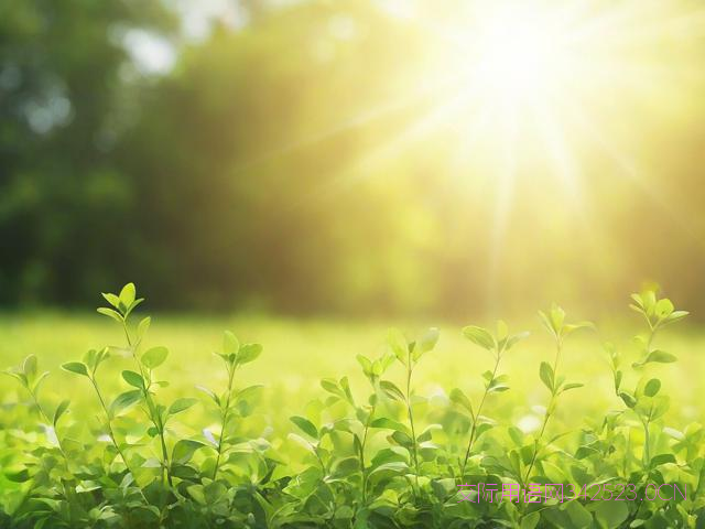 节气图片和祝福语言，节气图片和祝福语言有哪些