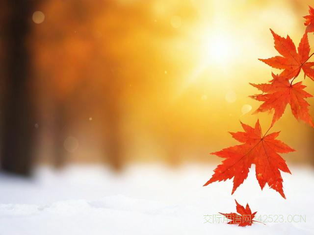 立冬短信祝福语简单，立冬祝福语立冬经典微信短信祝福语