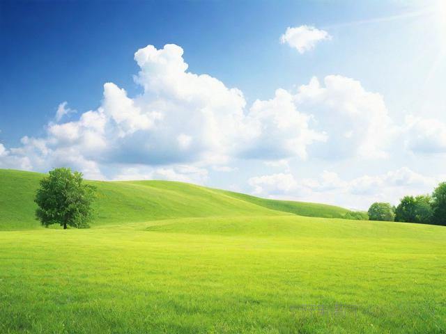 英语日常用语交流100句，英语日常用语交流100句怎么写