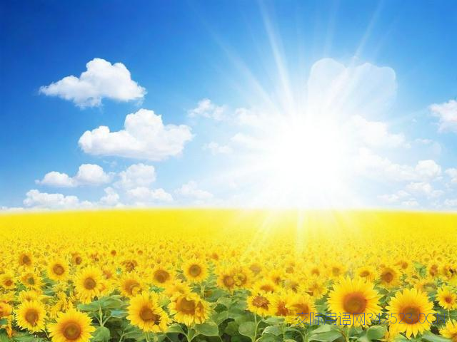 高情商的祝福语简短，高情商的祝福语简短朋友圈