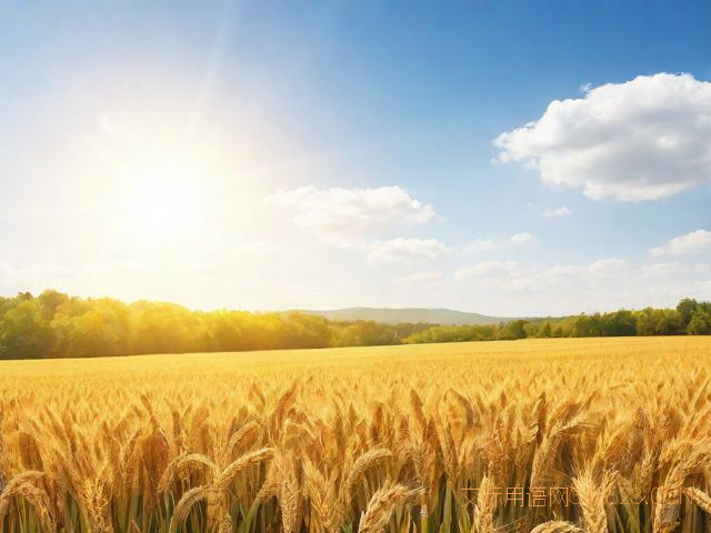 白露季节祝福语，白露时节祝福短信