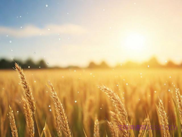 白露祝福语说说，白露的祝福短信