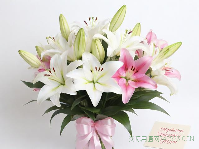 送护士花的祝福语，送护士花写什么