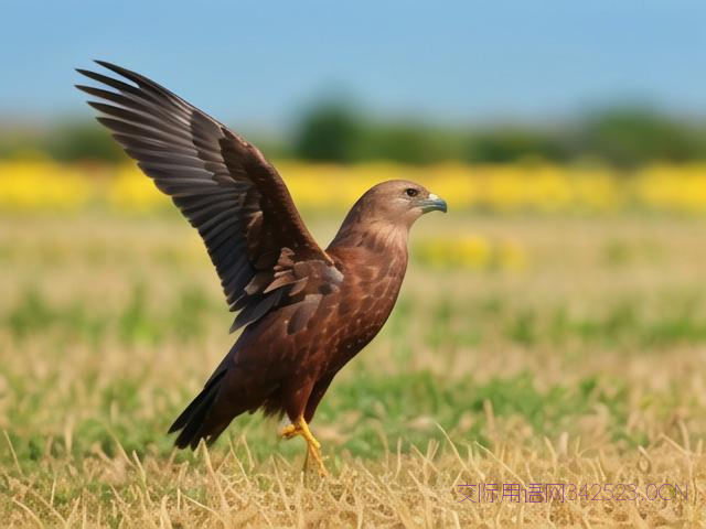 祝出门发财的祝福语，出去发财的句子