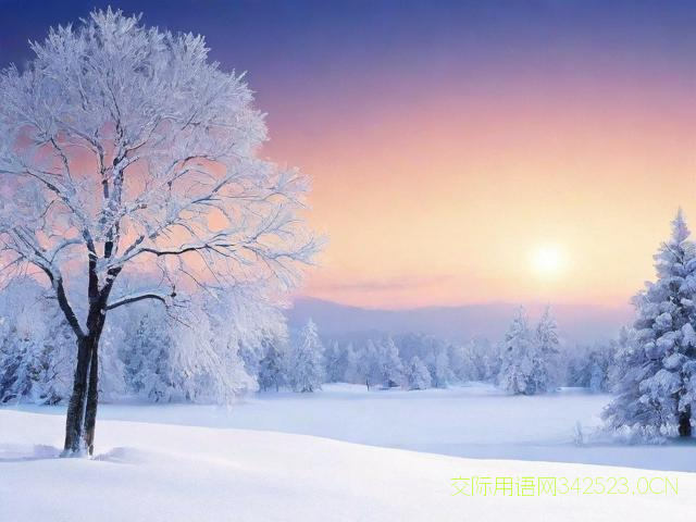 冬至祝福语句简短唯美，冬至祝福语简单明了