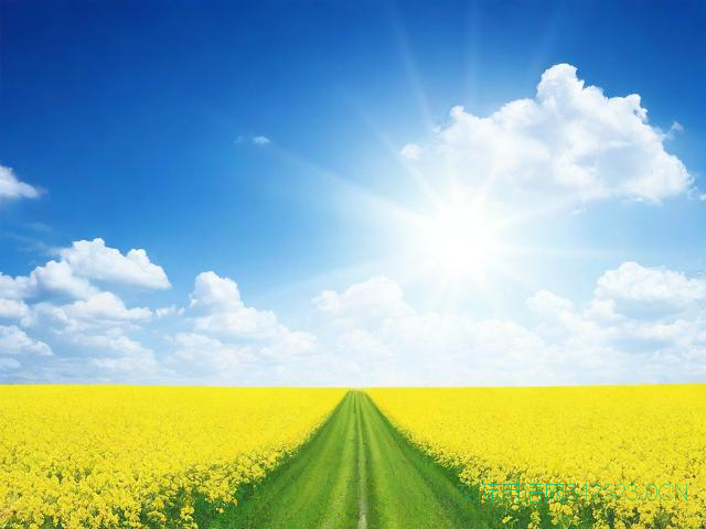 祝福语发财顺口溜押韵，祝福语句发财