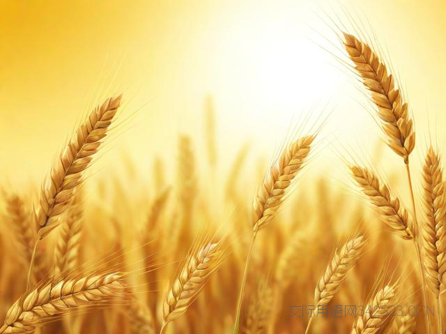 立夏祝福语2021的简单介绍