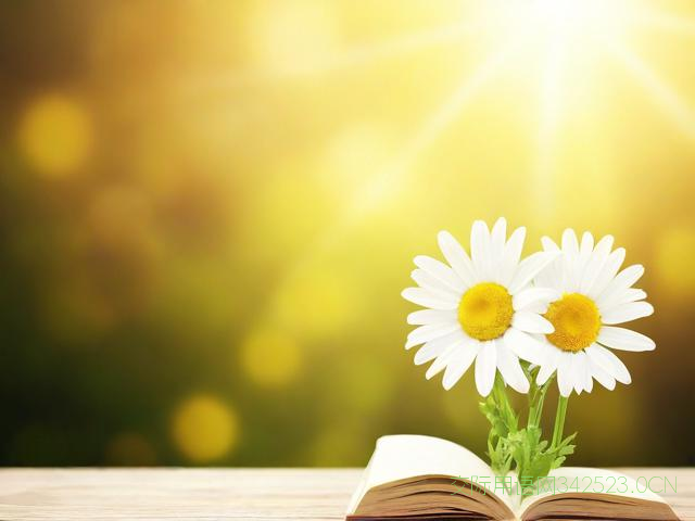 对老师的赞美和祝福语，对老师的赞美语录