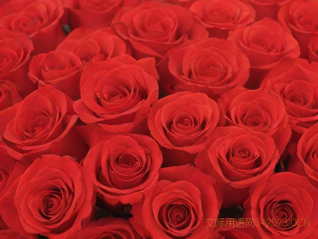 情人节祝福语简短8字，情人节祝福语8个字