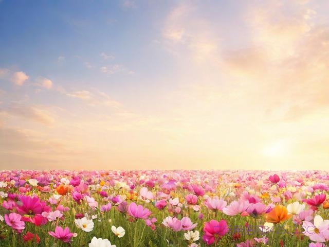 给朋友最暖心的祝福语，2025年的祝福语