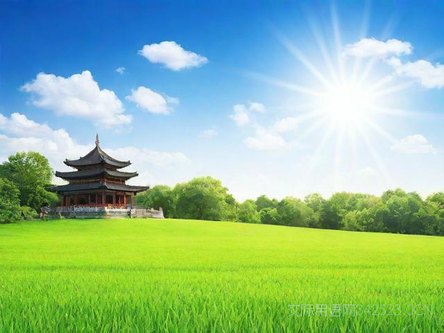 拜年年祝福语，拜年年祝福语一