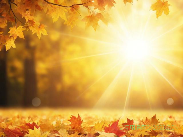 十月一祝福语简短精辟，十月一日的祝福语