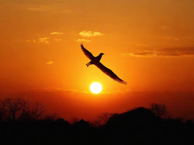 升学贺词祝福语，升学贺词祝福语八个字